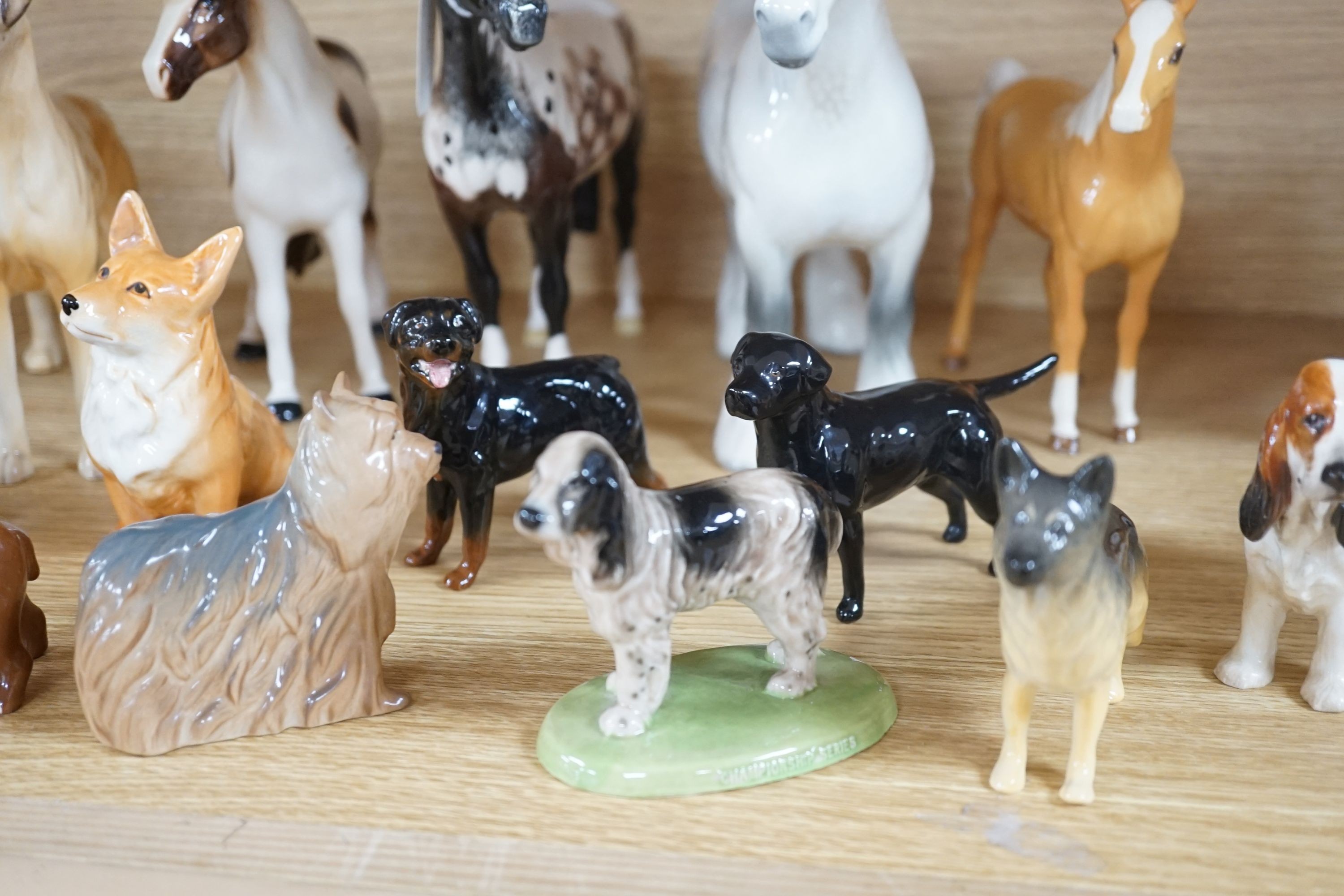 A large quantity of mixed Doulton, Beswick, dogs and horses, largest, Beswick shire horse 23cms high.